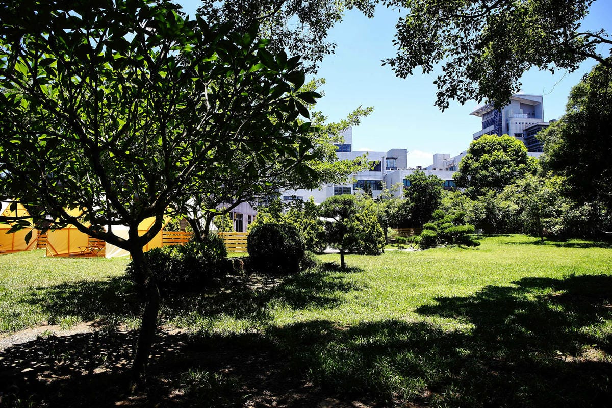 桃園龜山狗狗專屬樂園再+1！【Nose.Y Café 】林口