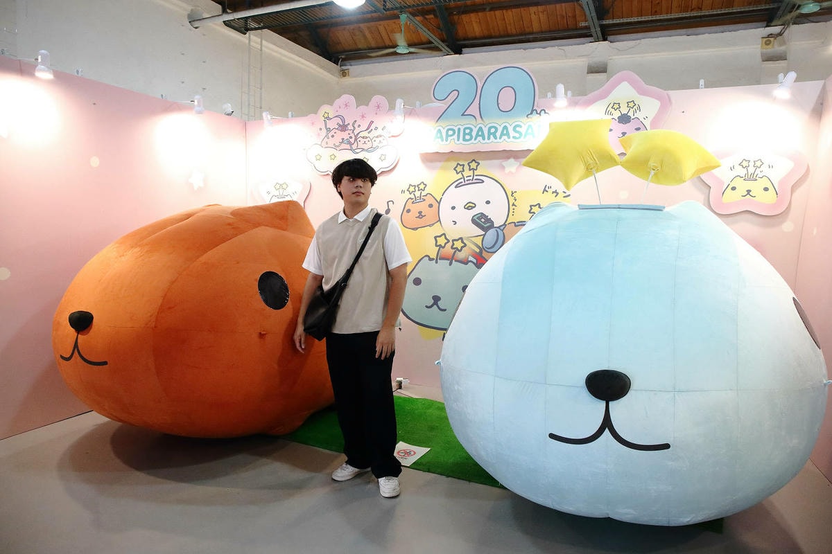 「水豚君20週年紀念快閃店」華山文創園區登場!5大主題區及打