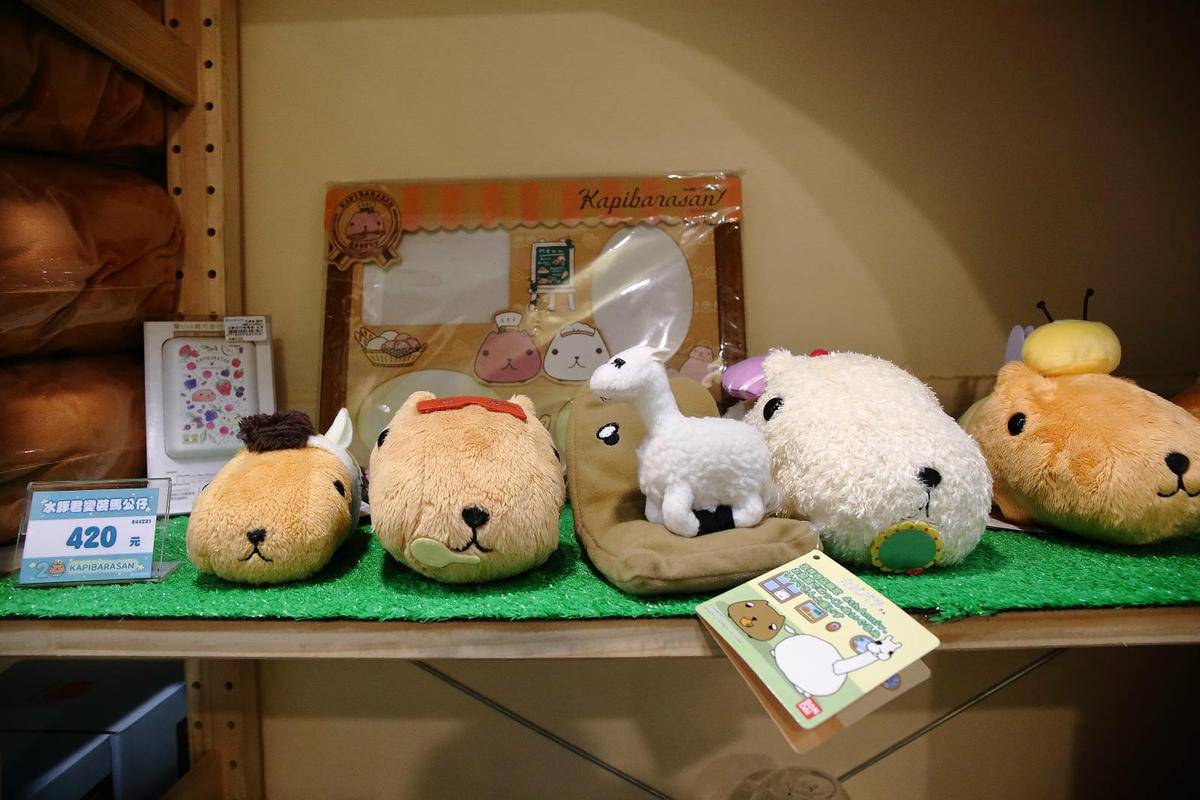 「水豚君20週年紀念快閃店」華山文創園區登場!5大主題區及打