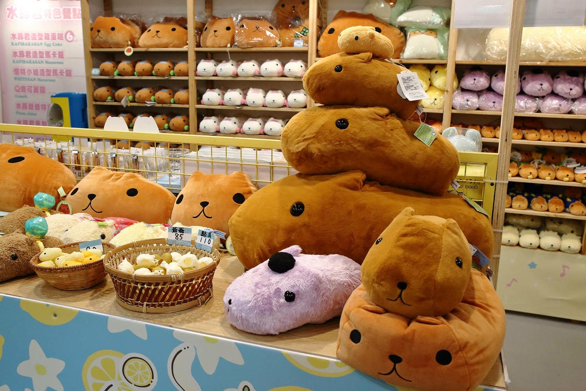 「水豚君20週年紀念快閃店」華山文創園區登場!5大主題區及打