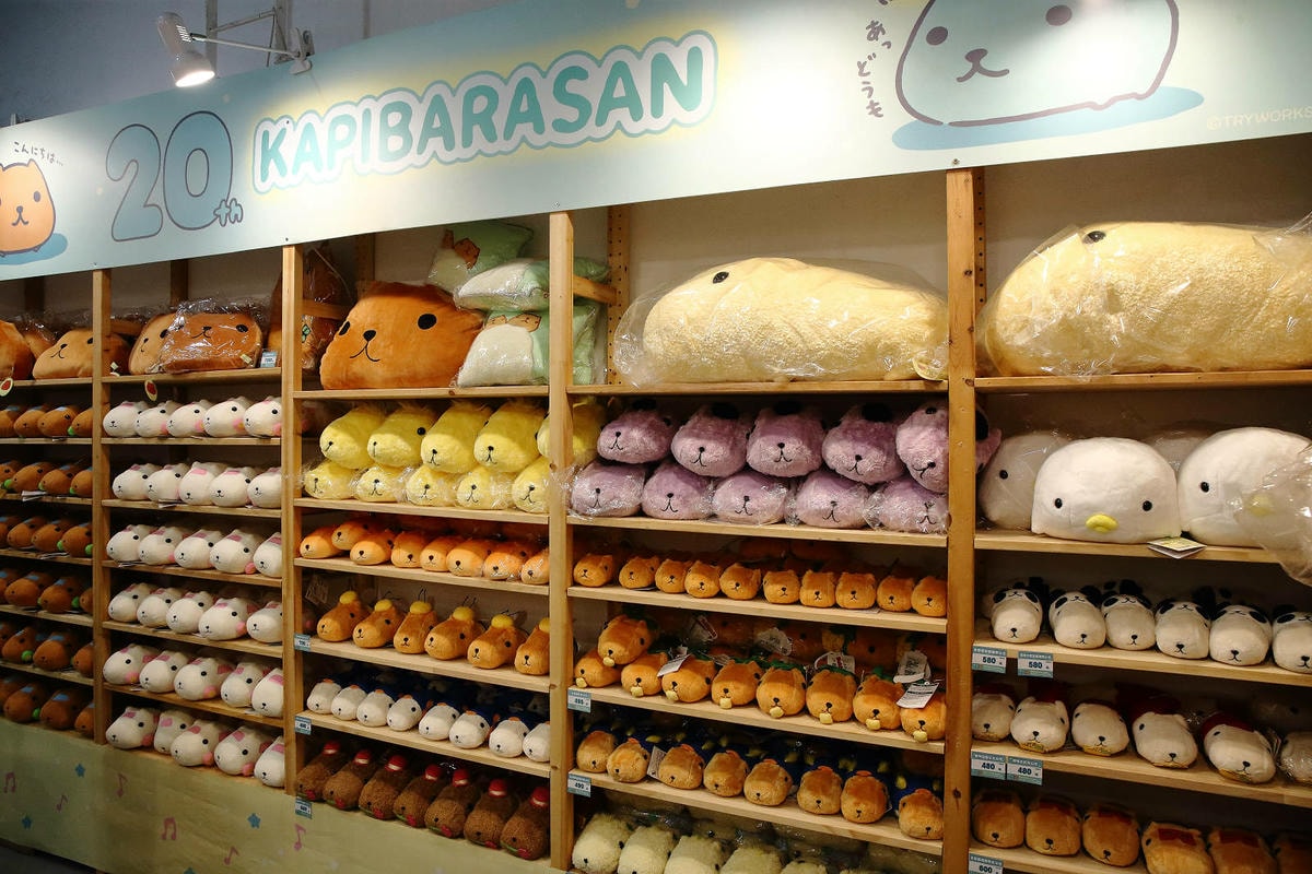 「水豚君20週年紀念快閃店」華山文創園區登場!5大主題區及打