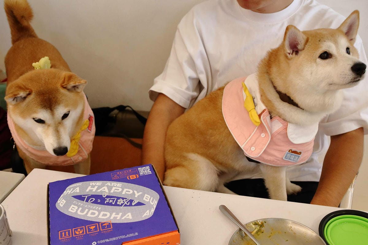 台北中山必吃美食+1！批薩謎勒Pizza超級無敵霹靂好吃！全