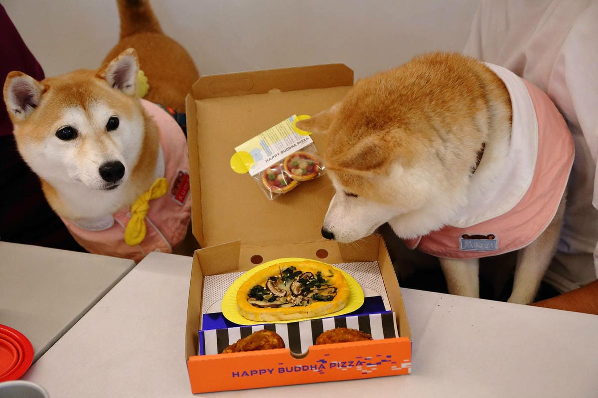 台北中山必吃美食+1！批薩謎勒Pizza超級無敵霹靂好吃！全