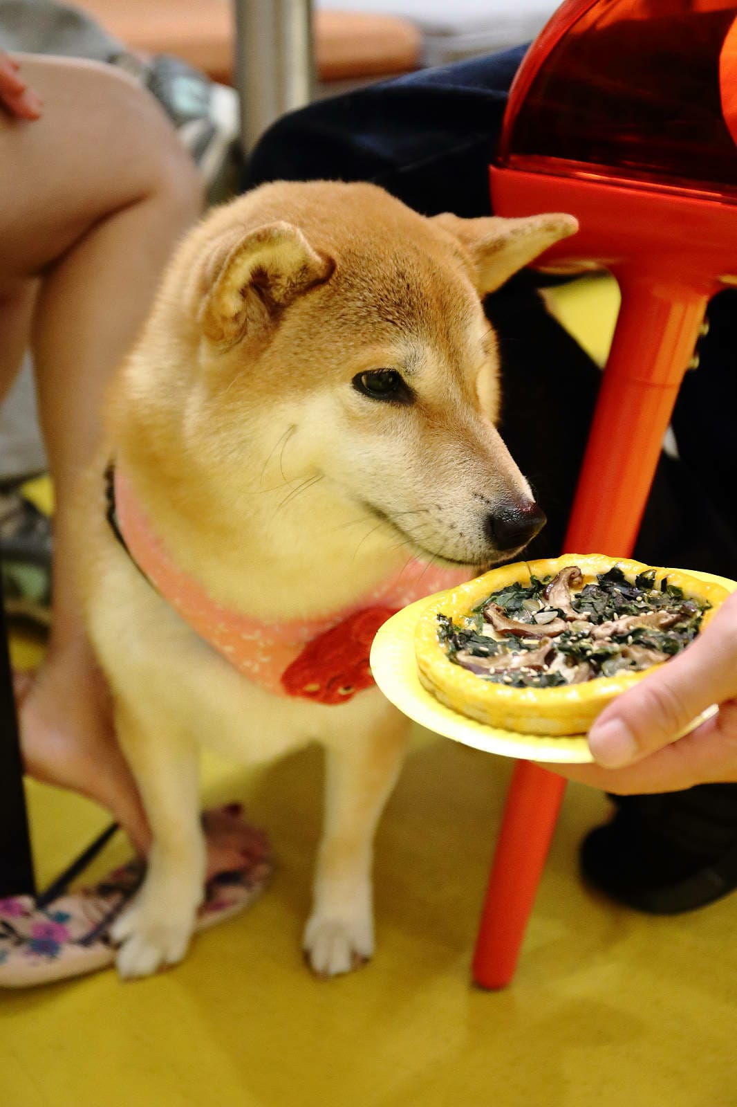 台北中山必吃美食+1！批薩謎勒Pizza超級無敵霹靂好吃！全
