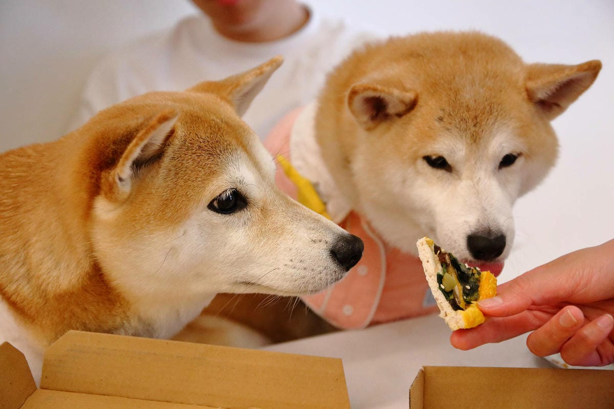 台北中山必吃美食+1！批薩謎勒Pizza超級無敵霹靂好吃！全