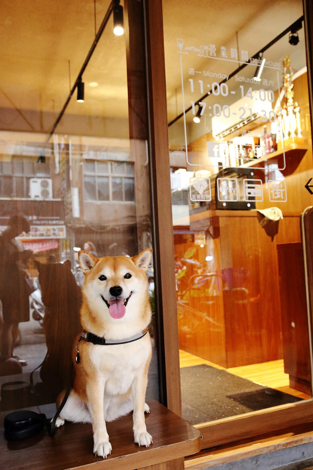 遼寧夜市超人氣平價熱炒店!有有1969,必點冠軍滷肉飯,網友