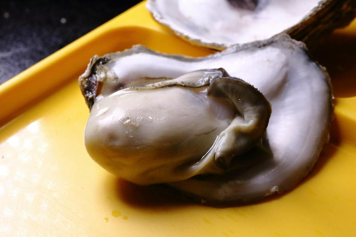 台北好逛的商圈推薦,假日不怕沒地方去〜2025大正町藝術祭: 台北好逛的商圈推薦,假日不怕沒地方去〜2025大正町藝術祭: