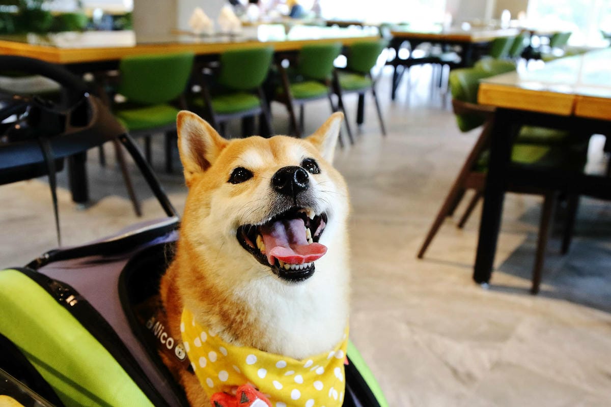 新北萬里新景點推薦!亮山川景觀休閒園區,戲水新秘境,佔地很大 新北萬里新景點推薦!亮山川景觀休閒園區,戲水新秘境,佔地很大