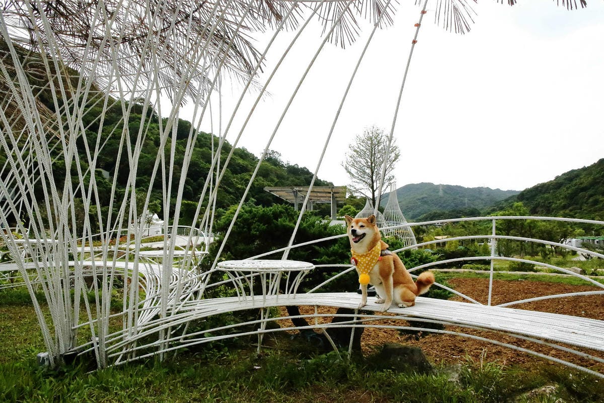 新北萬里新景點推薦!亮山川景觀休閒園區,戲水新秘境,佔地很大 新北萬里新景點推薦!亮山川景觀休閒園區,戲水新秘境,佔地很大