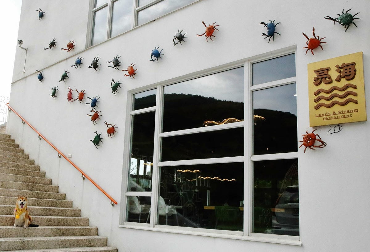 新北萬里新景點推薦!亮山川景觀休閒園區,戲水新秘境,佔地很大 新北萬里新景點推薦!亮山川景觀休閒園區,戲水新秘境,佔地很大