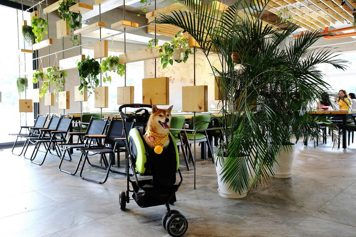 新北萬里新景點推薦!亮山川景觀休閒園區,戲水新秘境,佔地很大 新北萬里新景點推薦!亮山川景觀休閒園區,戲水新秘境,佔地很大