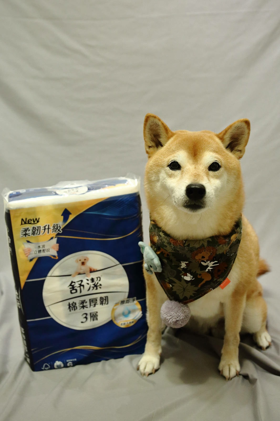 【蝦皮直營】蝦皮直營生活超市祭出超殺優惠!超多限定特價、當日 【蝦皮直營】蝦皮直營生活超市祭出超殺優惠!超多限定特價、當日