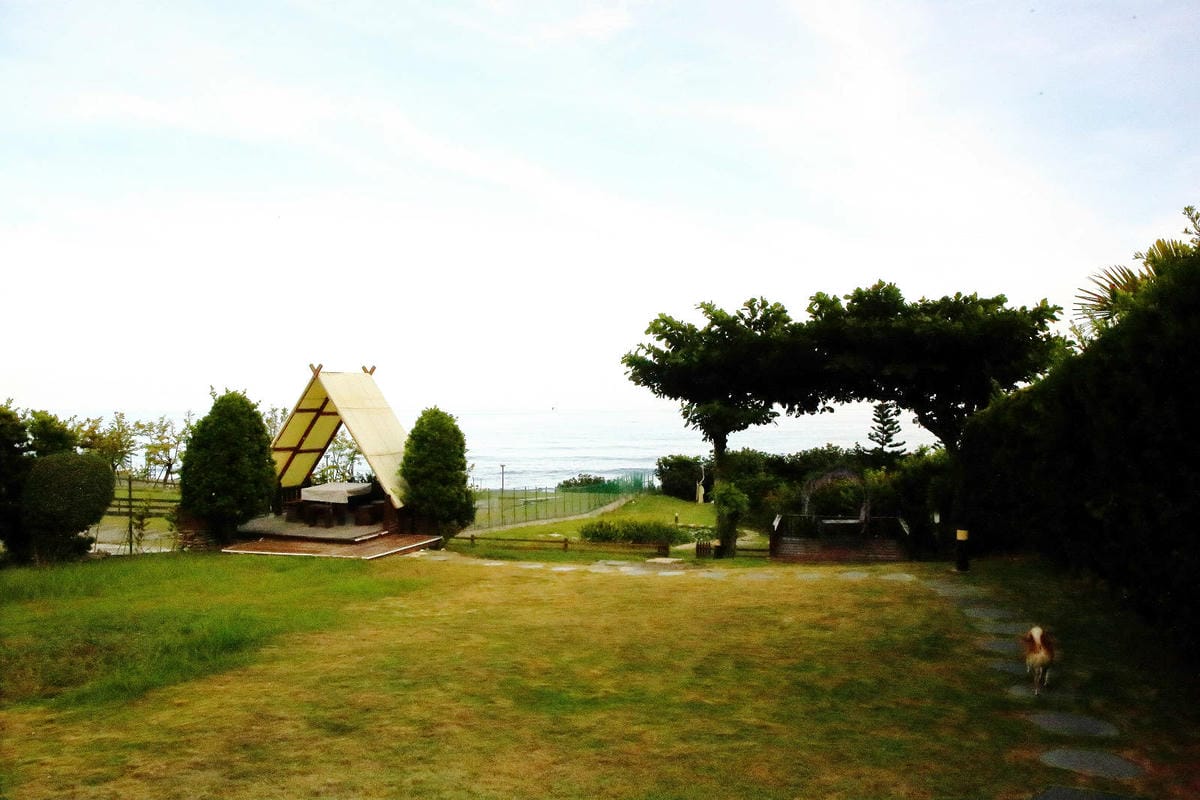 【花蓮寵物友善民宿】海元素178民宿，海景第一排×手作早餐×