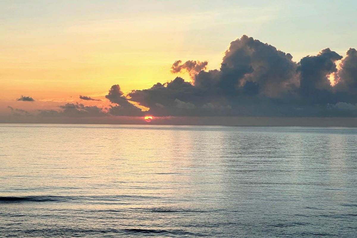 【花蓮寵物友善民宿】海元素178民宿，海景第一排×手作早餐×