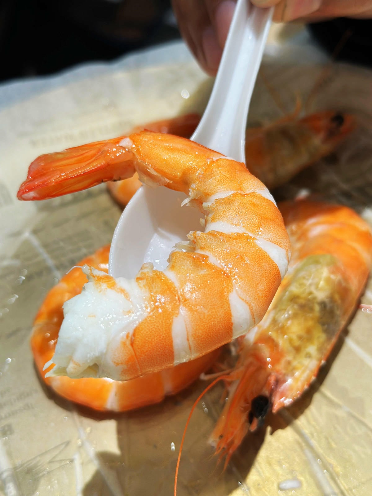 【永和烤魚】火神烤魚,生意超好!鹽烤台灣鯛只要200元!零土