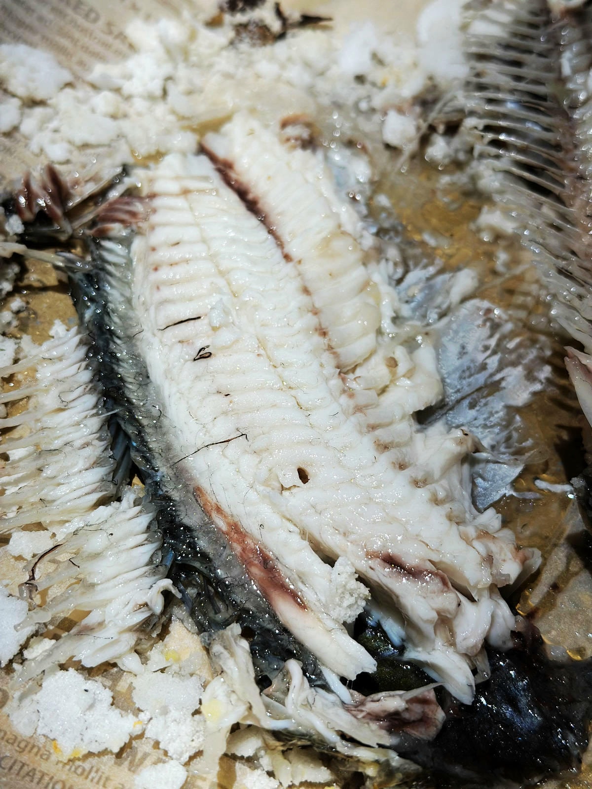 【永和烤魚】火神烤魚,生意超好!鹽烤台灣鯛只要200元!零土