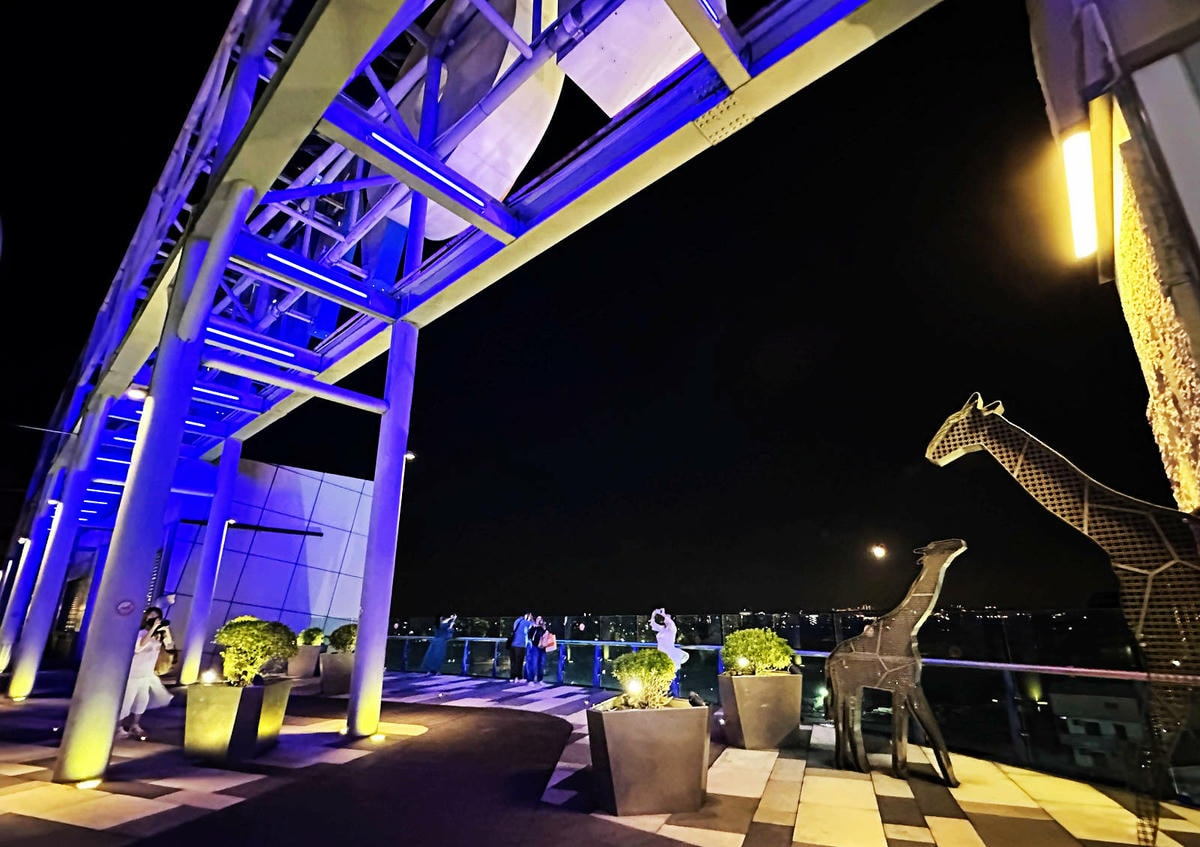 不知道去哪,那就去大江!全國獨家!全年免費停車,全桃最美打卡