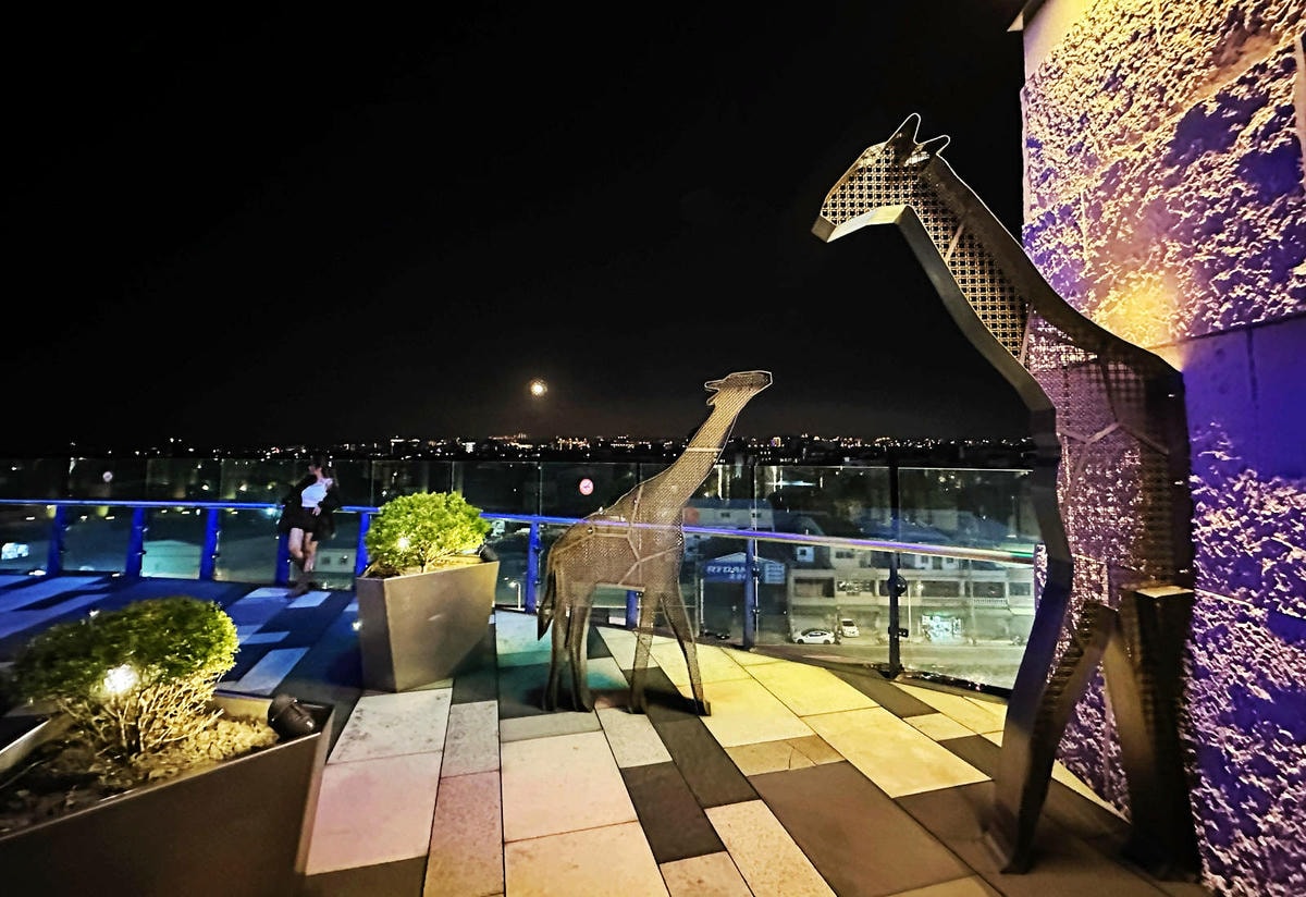 不知道去哪,那就去大江!全國獨家!全年免費停車,全桃最美打卡