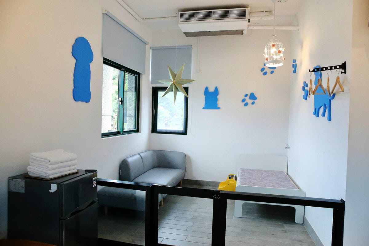 【花蓮寵物友善民宿】花蓮快樂狗，近市區+千坪草地+毛孩泳池+