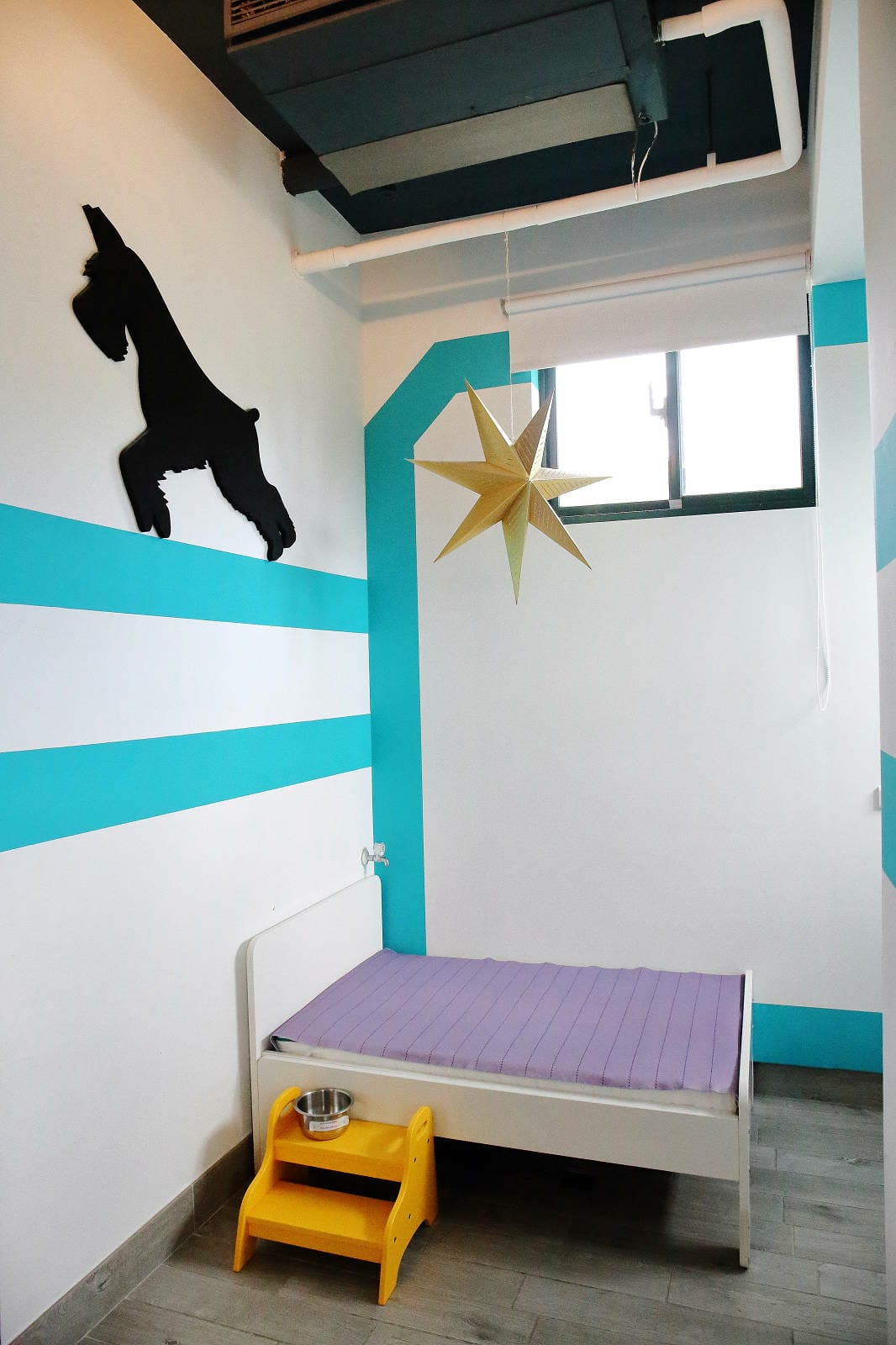 【花蓮寵物友善民宿】花蓮快樂狗，近市區+千坪草地+毛孩泳池+