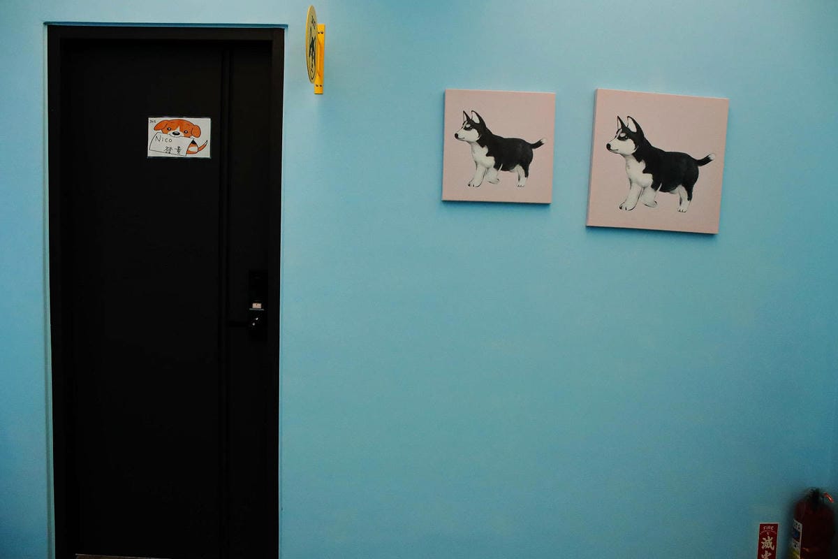 【花蓮寵物友善民宿】花蓮快樂狗，近市區+千坪草地+毛孩泳池+