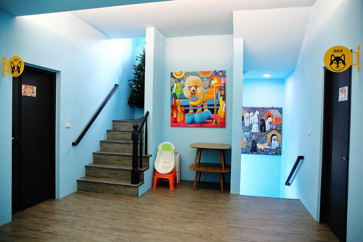 【花蓮寵物友善民宿】花蓮快樂狗，近市區+千坪草地+毛孩泳池+