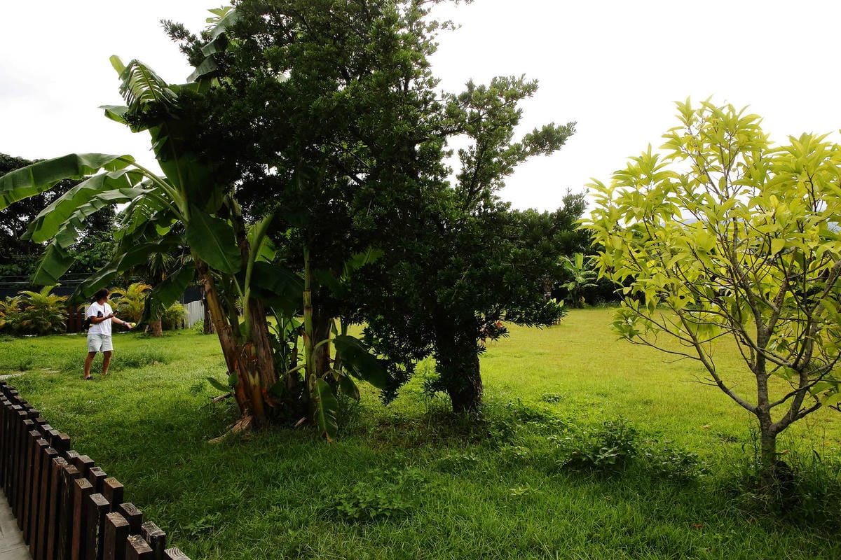 【花蓮寵物友善民宿】花蓮快樂狗，近市區+千坪草地+毛孩泳池+