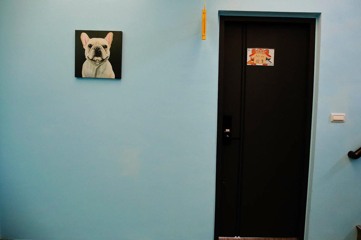 【花蓮寵物友善民宿】花蓮快樂狗，近市區+千坪草地+毛孩泳池+