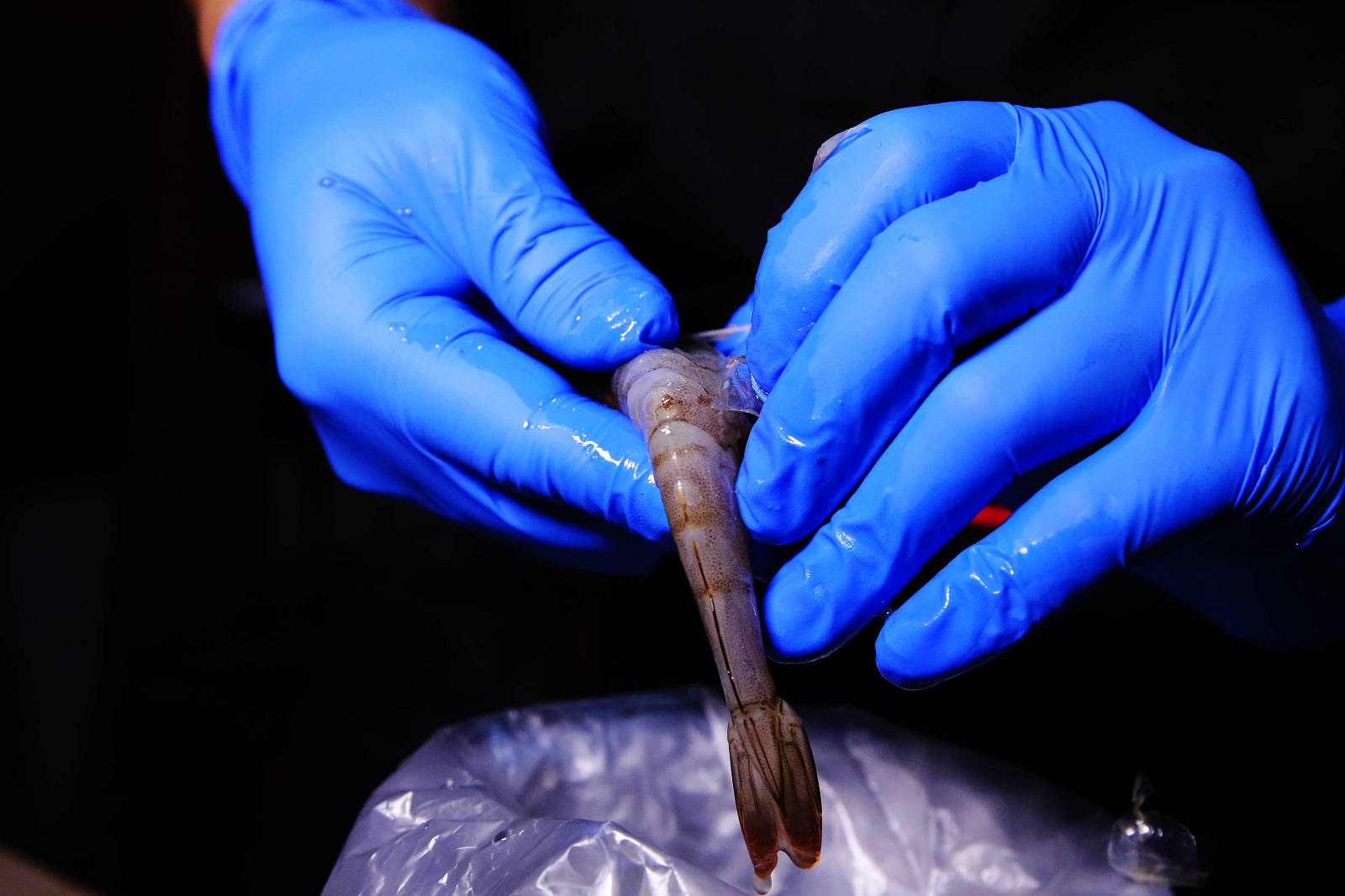 肉多多火鍋全台！全天候！平假日不限時！輕量級套餐299元起，蔬食自助吧吃到飽，CP值超高！(西門店、淡水店例假日除外，湯底、服務費另計)