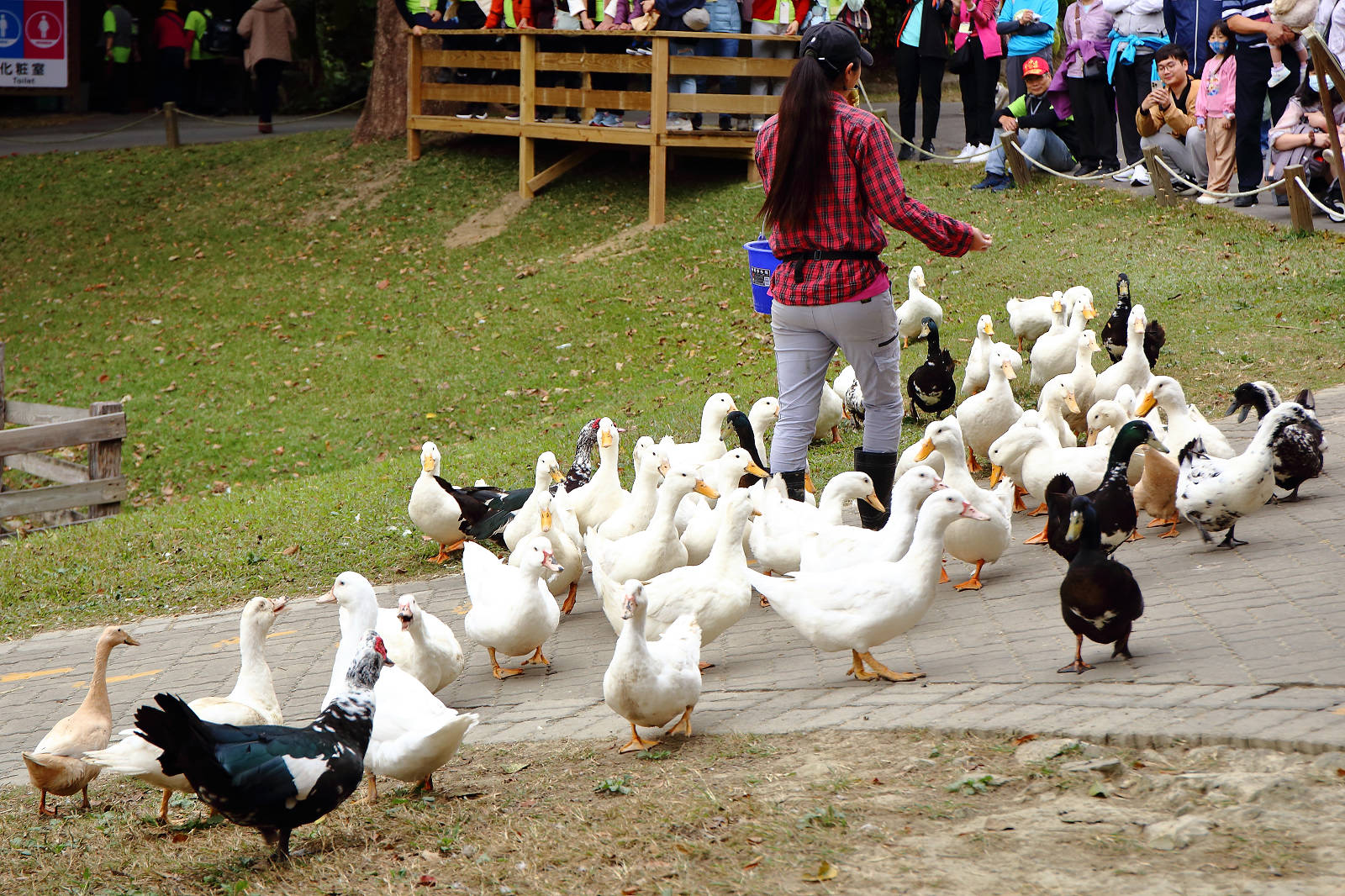 2025苗栗跑酷越野障礙賽，全台最FUN親子路跑，11道關卡障礙大賽、FUN電樂園、特色市集，最好玩路跑在這裡！