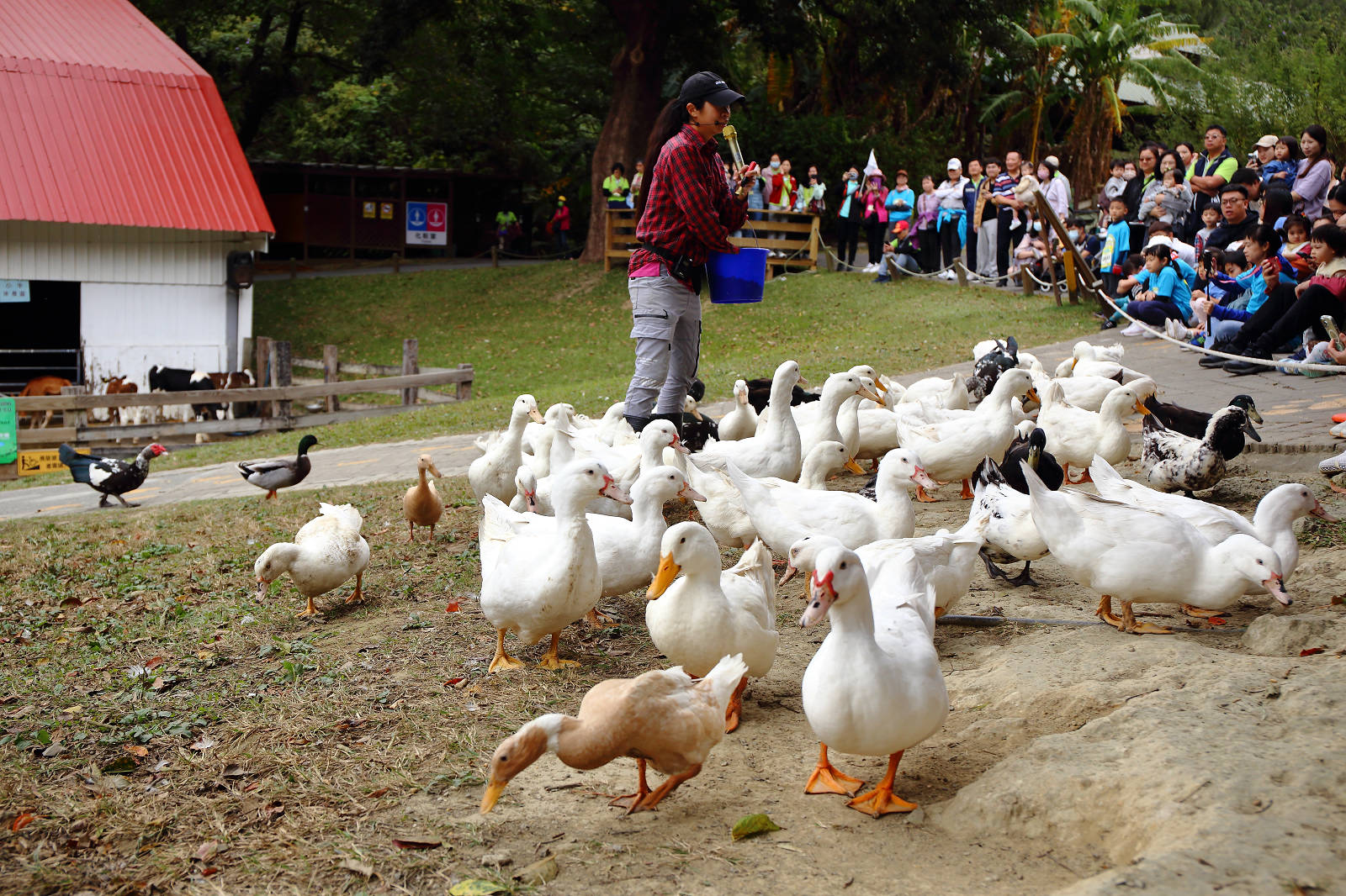 2025苗栗跑酷越野障礙賽，全台最FUN親子路跑，11道關卡障礙大賽、FUN電樂園、特色市集，最好玩路跑在這裡！
