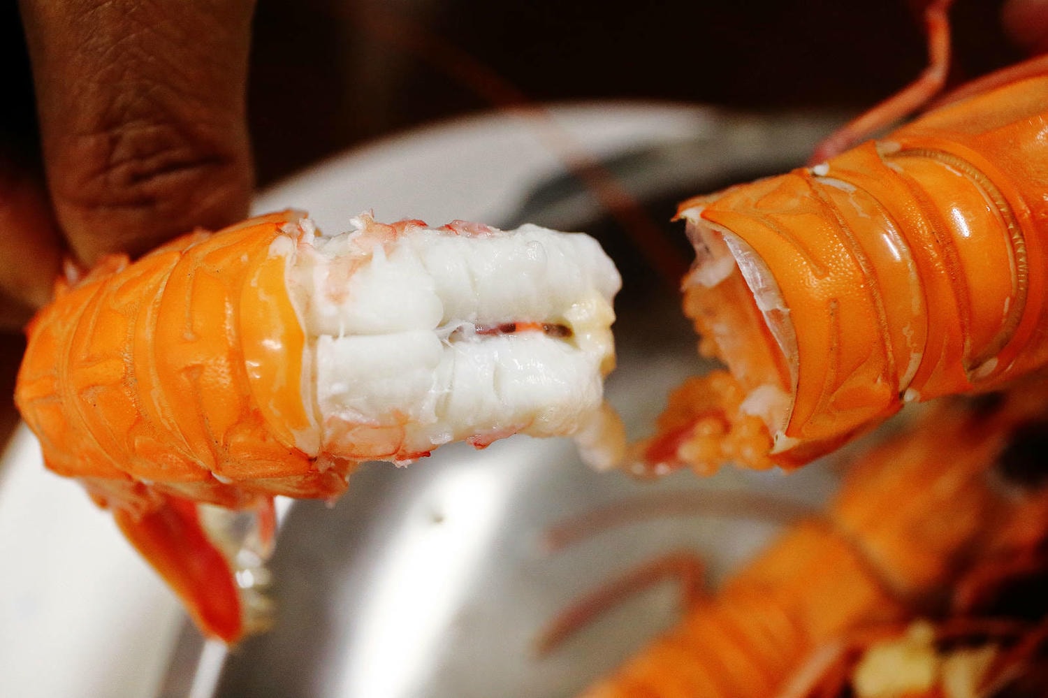 宜蘭大溪魚港初體驗+大溪漁港最強海鮮餐廳-小老闆代客料理,價格很佛心CP值爆表(原阿雪姨海鮮) - 第34張圖 宜蘭大溪魚港初體驗+大溪漁港最強海鮮餐廳-小老闆代客料理,價格很佛心CP值爆表(原阿雪姨海鮮)