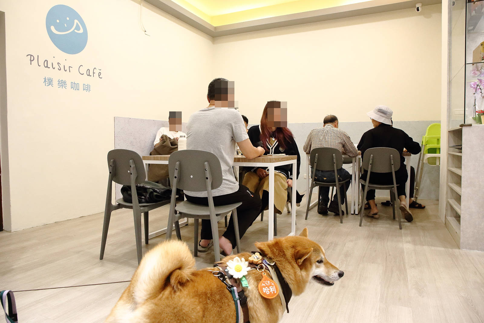 蘆洲必訪的寵物友善早午餐-樸樂蘆洲永平店，大份量早午餐又有可愛店狗，任點無雷