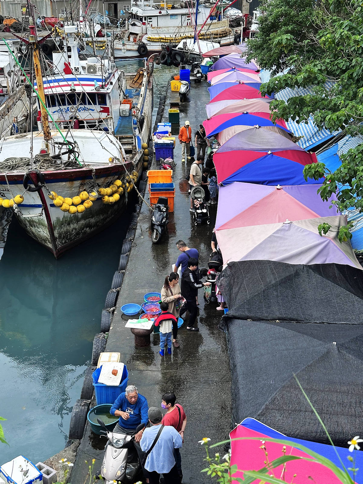 宜蘭大溪魚港初體驗+大溪漁港最強海鮮餐廳-小老闆代客料理,價格很佛心CP值爆表(原阿雪姨海鮮) - 第4張圖 宜蘭大溪魚港初體驗+大溪漁港最強海鮮餐廳-小老闆代客料理,價格很佛心CP值爆表(原阿雪姨海鮮)