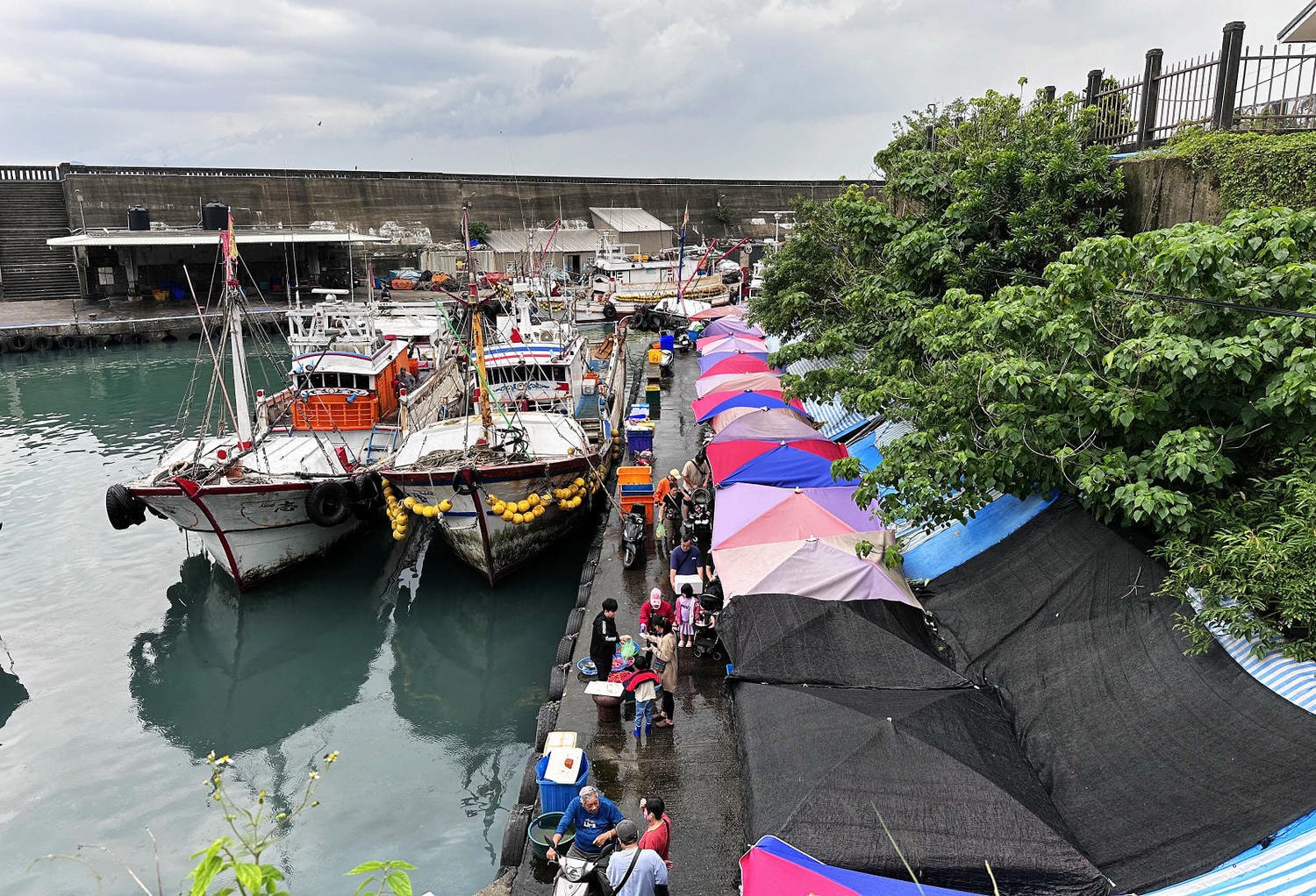 宜蘭大溪魚港初體驗+大溪漁港最強海鮮餐廳-小老闆代客料理,價格很佛心CP值爆表(原阿雪姨海鮮) - 第3張圖 宜蘭大溪魚港初體驗+大溪漁港最強海鮮餐廳-小老闆代客料理,價格很佛心CP值爆表(原阿雪姨海鮮)