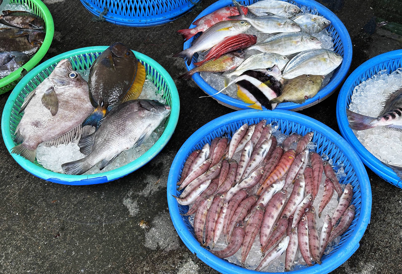 宜蘭大溪魚港初體驗+大溪漁港最強海鮮餐廳-小老闆代客料理,價格很佛心CP值爆表(原阿雪姨海鮮) - 第6張圖 宜蘭大溪魚港初體驗+大溪漁港最強海鮮餐廳-小老闆代客料理,價格很佛心CP值爆表(原阿雪姨海鮮)