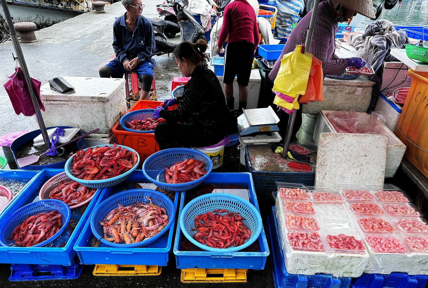 宜蘭大溪魚港初體驗+大溪漁港最強海鮮餐廳-小老闆代客料理,價格很佛心CP值爆表(原阿雪姨海鮮) - 第7張圖 宜蘭大溪魚港初體驗+大溪漁港最強海鮮餐廳-小老闆代客料理,價格很佛心CP值爆表(原阿雪姨海鮮)