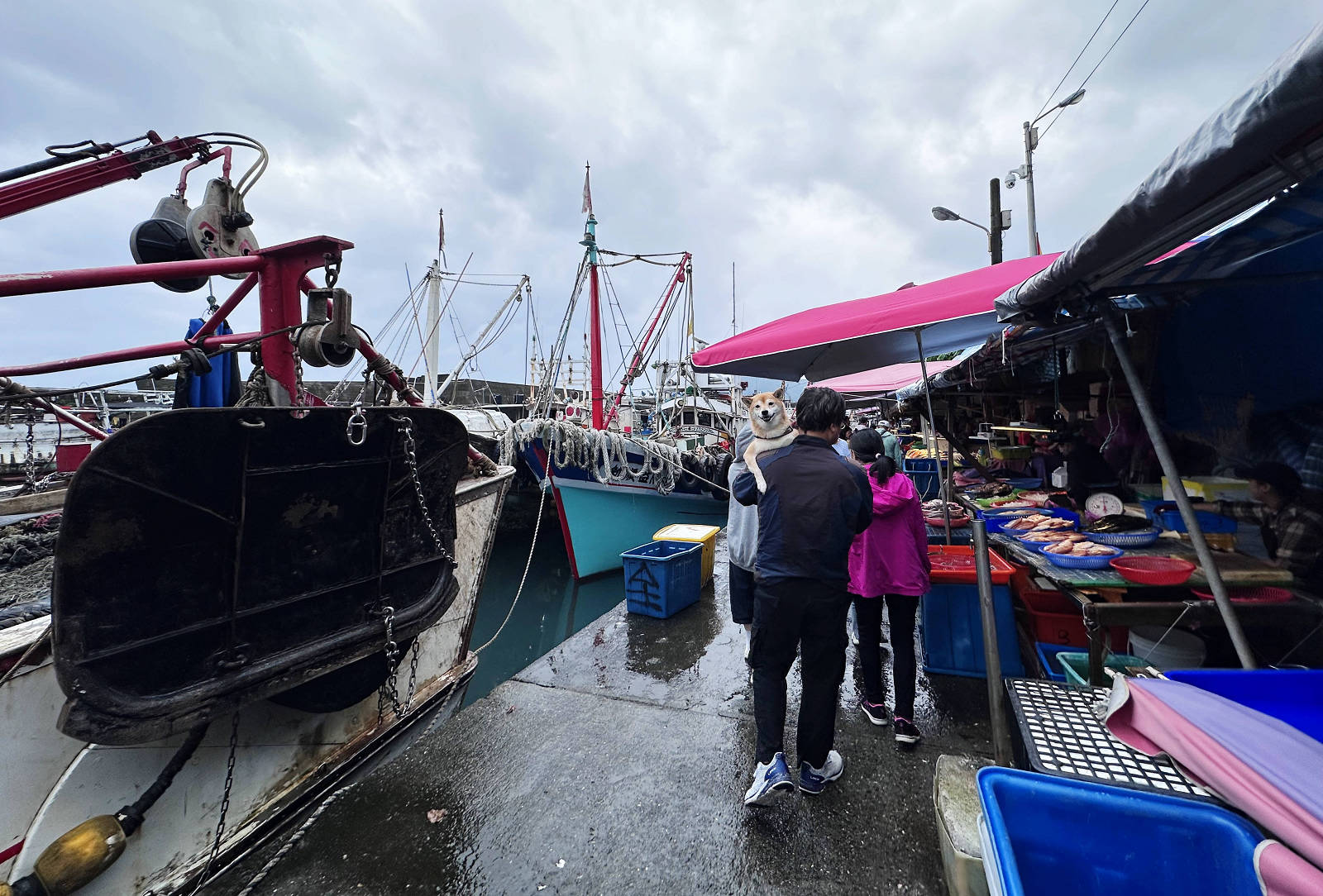 宜蘭大溪魚港初體驗+大溪漁港最強海鮮餐廳-小老闆代客料理,價格很佛心CP值爆表(原阿雪姨海鮮) - 第9張圖 宜蘭大溪魚港初體驗+大溪漁港最強海鮮餐廳-小老闆代客料理,價格很佛心CP值爆表(原阿雪姨海鮮)