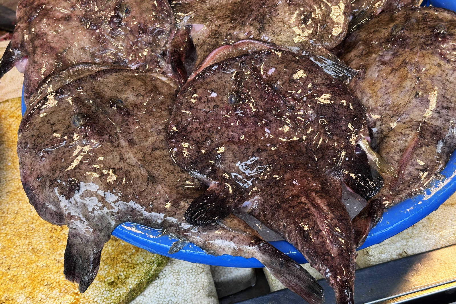 宜蘭大溪魚港初體驗+大溪漁港最強海鮮餐廳-小老闆代客料理,價格很佛心CP值爆表(原阿雪姨海鮮) - 第12張圖 宜蘭大溪魚港初體驗+大溪漁港最強海鮮餐廳-小老闆代客料理,價格很佛心CP值爆表(原阿雪姨海鮮)