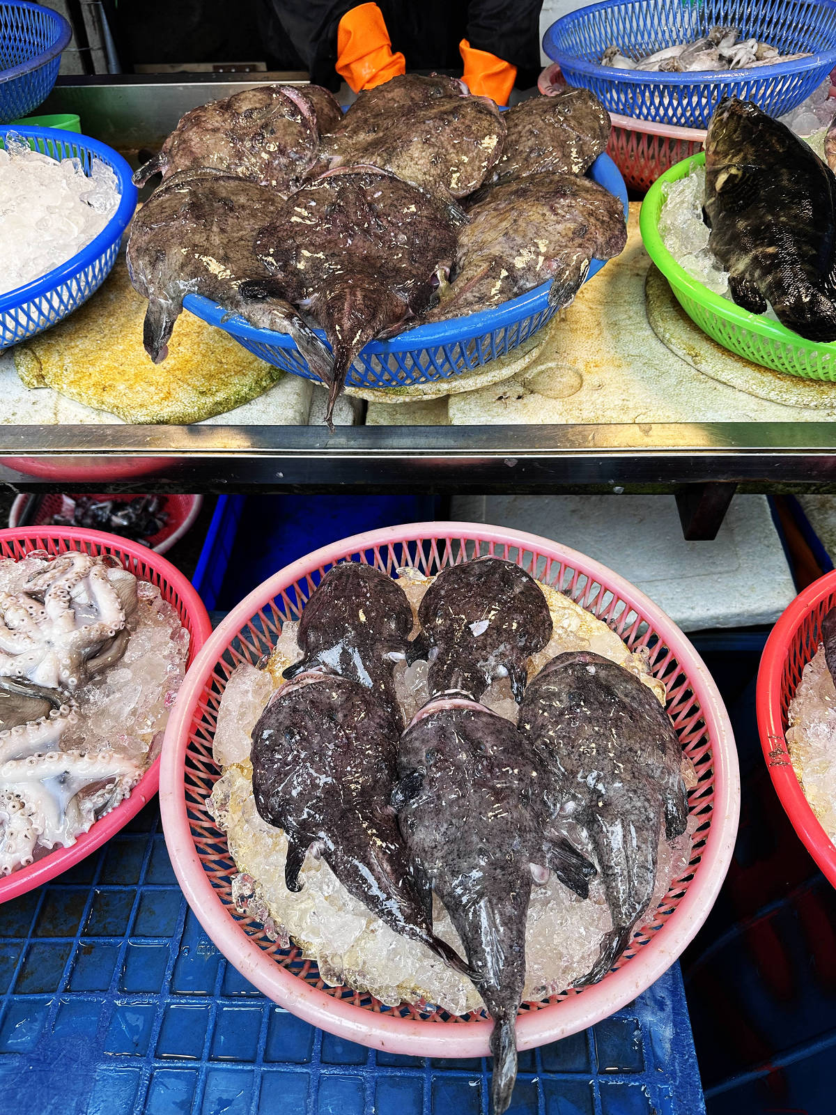 宜蘭大溪魚港初體驗+大溪漁港最強海鮮餐廳-小老闆代客料理,價格很佛心CP值爆表(原阿雪姨海鮮) - 第13張圖 宜蘭大溪魚港初體驗+大溪漁港最強海鮮餐廳-小老闆代客料理,價格很佛心CP值爆表(原阿雪姨海鮮)