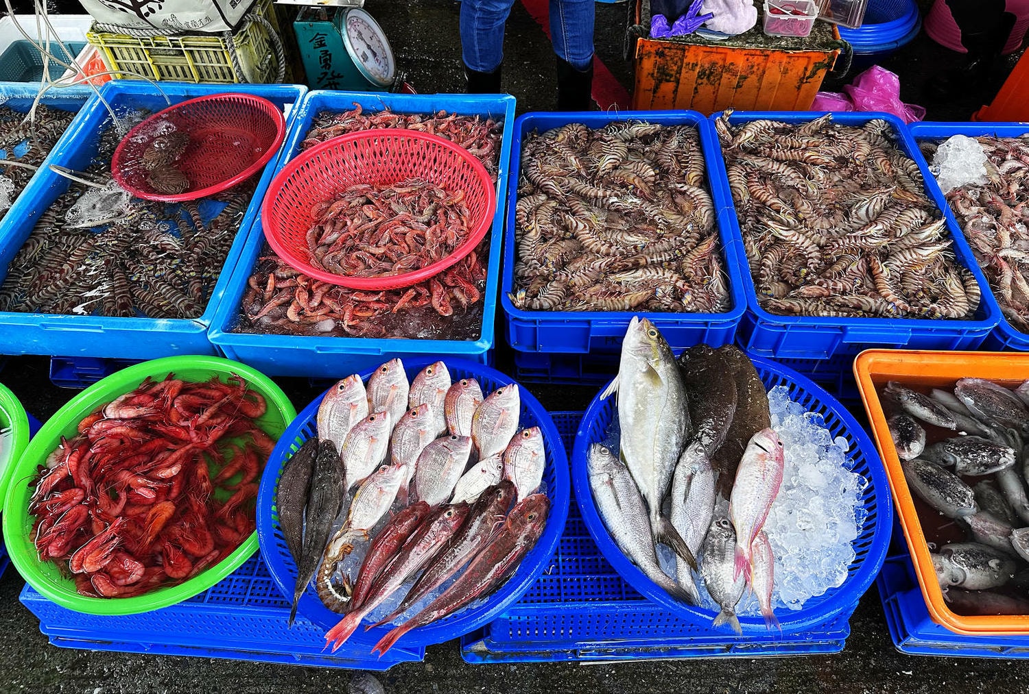 宜蘭大溪魚港初體驗+大溪漁港最強海鮮餐廳-小老闆代客料理,價格很佛心CP值爆表(原阿雪姨海鮮) - 第15張圖 宜蘭大溪魚港初體驗+大溪漁港最強海鮮餐廳-小老闆代客料理,價格很佛心CP值爆表(原阿雪姨海鮮)