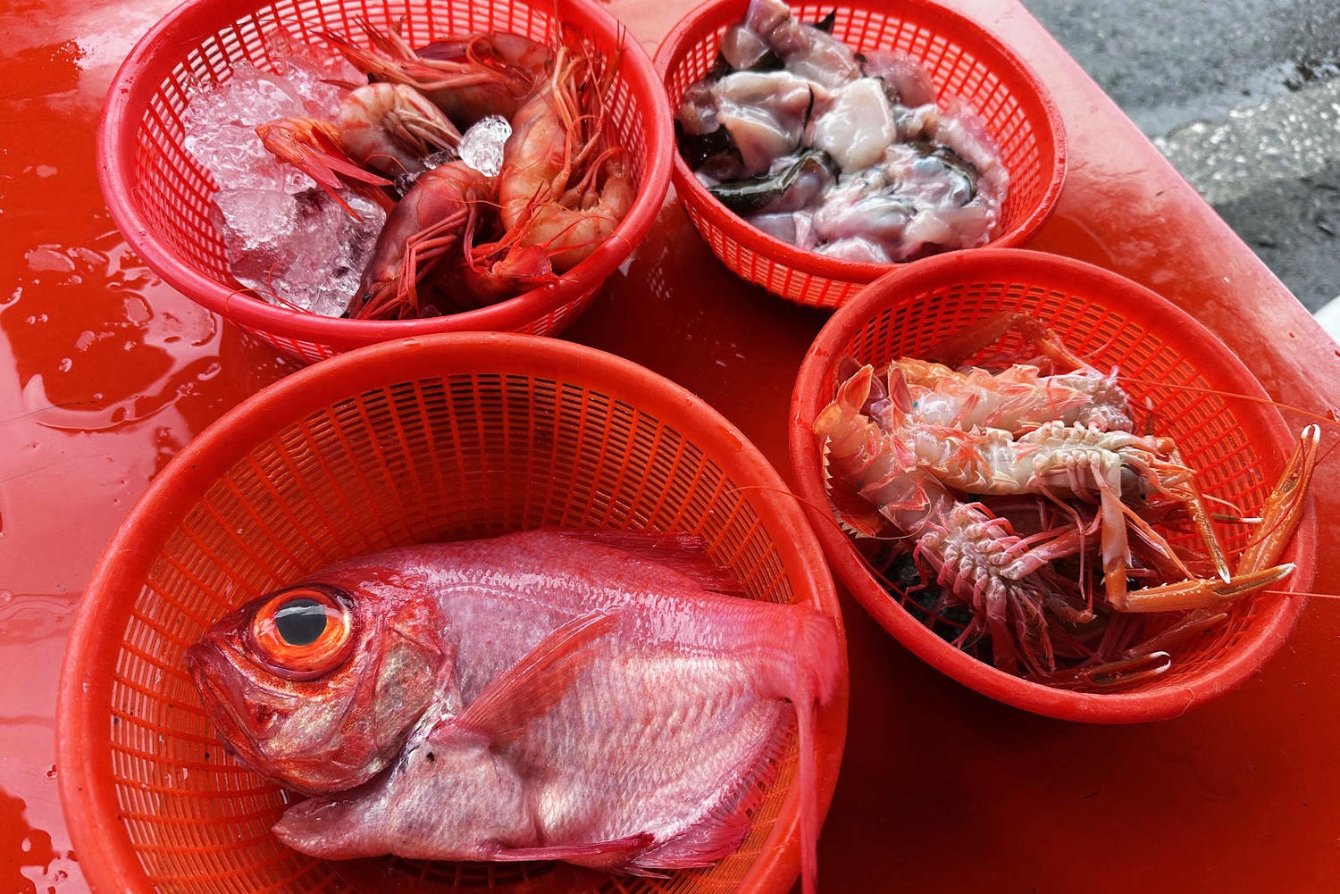 宜蘭大溪魚港初體驗+大溪漁港最強海鮮餐廳-小老闆代客料理,價格很佛心CP值爆表(原阿雪姨海鮮) - 第16張圖 宜蘭大溪魚港初體驗+大溪漁港最強海鮮餐廳-小老闆代客料理,價格很佛心CP值爆表(原阿雪姨海鮮)