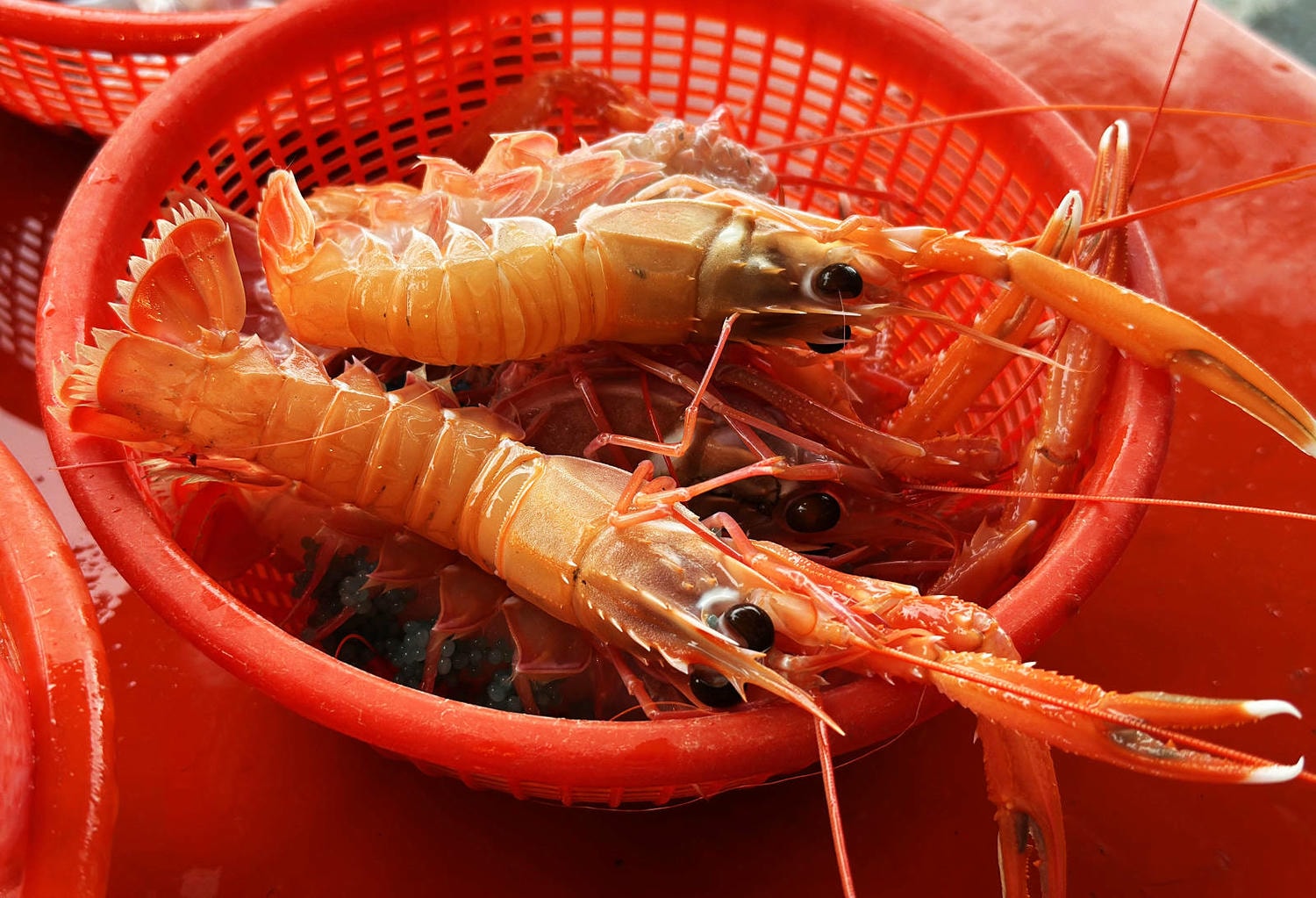 宜蘭大溪魚港初體驗+大溪漁港最強海鮮餐廳-小老闆代客料理,價格很佛心CP值爆表(原阿雪姨海鮮) - 第18張圖 宜蘭大溪魚港初體驗+大溪漁港最強海鮮餐廳-小老闆代客料理,價格很佛心CP值爆表(原阿雪姨海鮮)