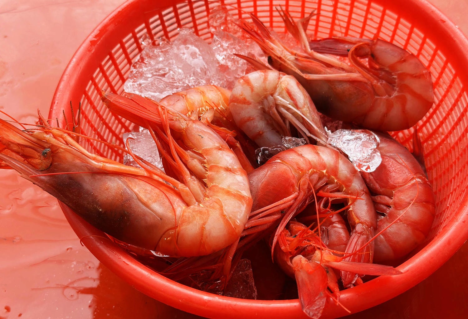 宜蘭大溪魚港初體驗+大溪漁港最強海鮮餐廳-小老闆代客料理,價格很佛心CP值爆表(原阿雪姨海鮮) - 第19張圖 宜蘭大溪魚港初體驗+大溪漁港最強海鮮餐廳-小老闆代客料理,價格很佛心CP值爆表(原阿雪姨海鮮)
