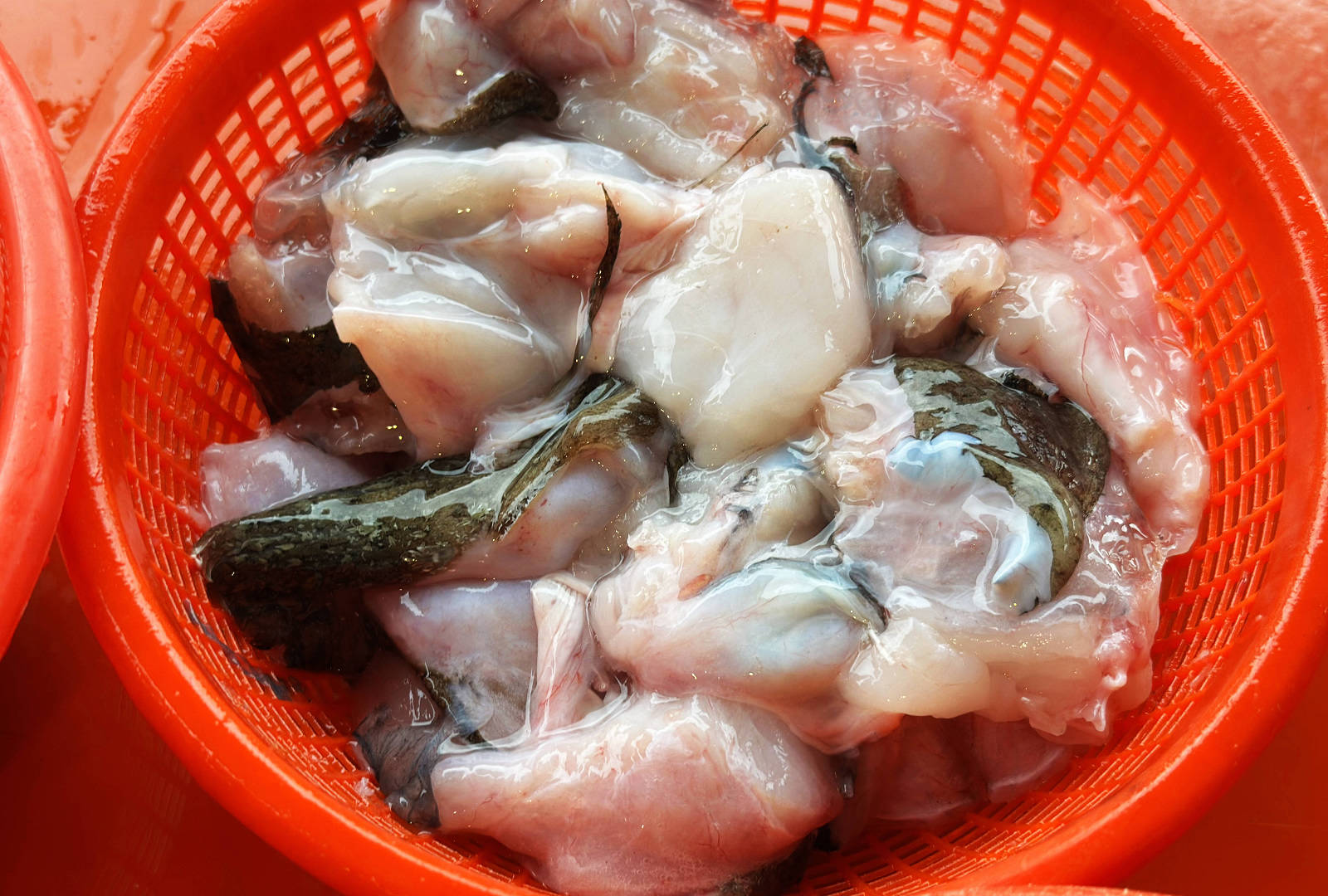 宜蘭大溪魚港初體驗+大溪漁港最強海鮮餐廳-小老闆代客料理,價格很佛心CP值爆表(原阿雪姨海鮮) - 第20張圖 宜蘭大溪魚港初體驗+大溪漁港最強海鮮餐廳-小老闆代客料理,價格很佛心CP值爆表(原阿雪姨海鮮)