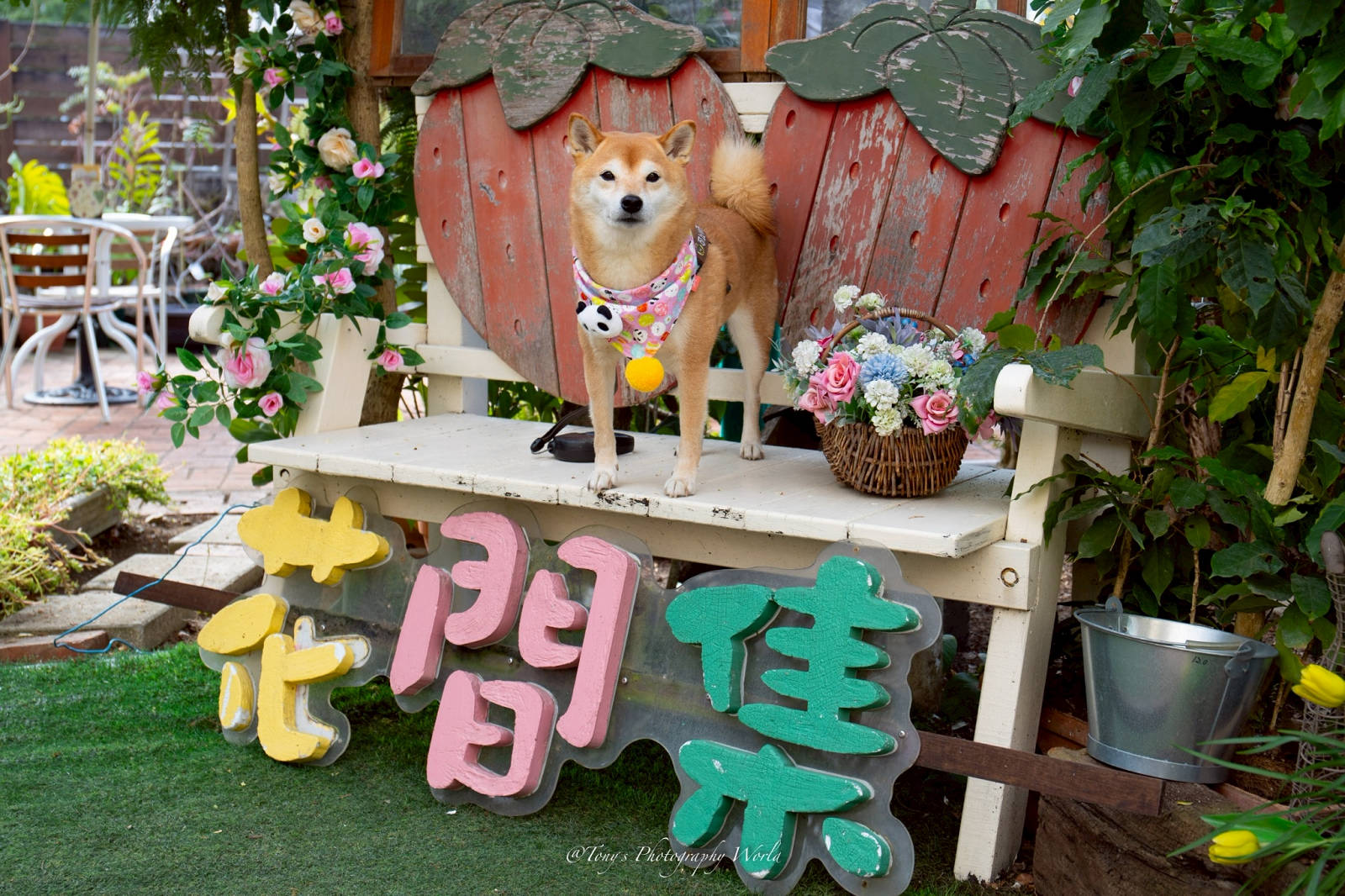 苗栗大湖特色美食-花間集輕食小館，日系鄉村雜貨風格，品嚐全草莓大餐
