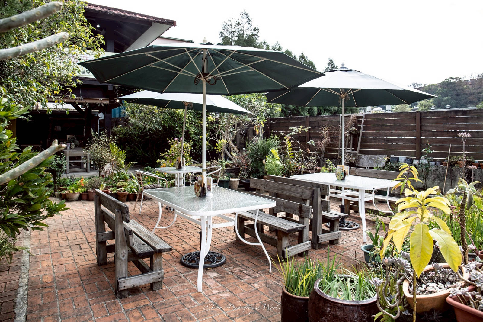 苗栗大湖特色美食-花間集輕食小館，日系鄉村雜貨風格，品嚐全草莓大餐