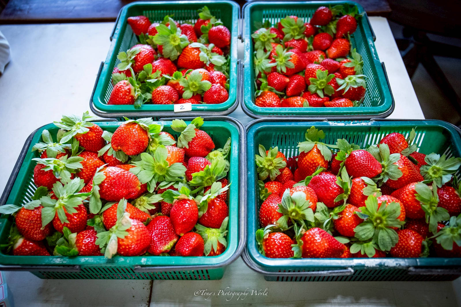 大湖親子草莓園推薦！怡口軒安心莓，超巨大超甜的草莓啦，來當草莓富翁，最便宜最新鮮還不吃爆嗎