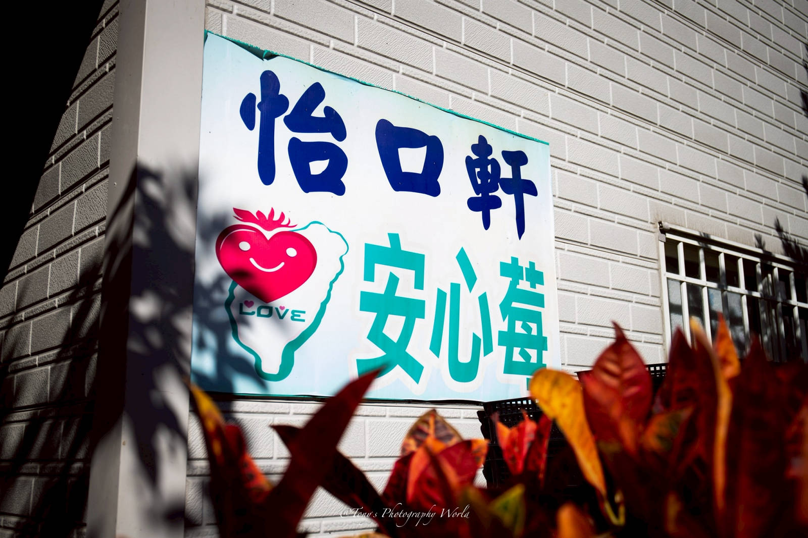 大湖親子草莓園推薦！怡口軒安心莓，超巨大超甜的草莓啦，來當草莓富翁，最便宜最新鮮還不吃爆嗎