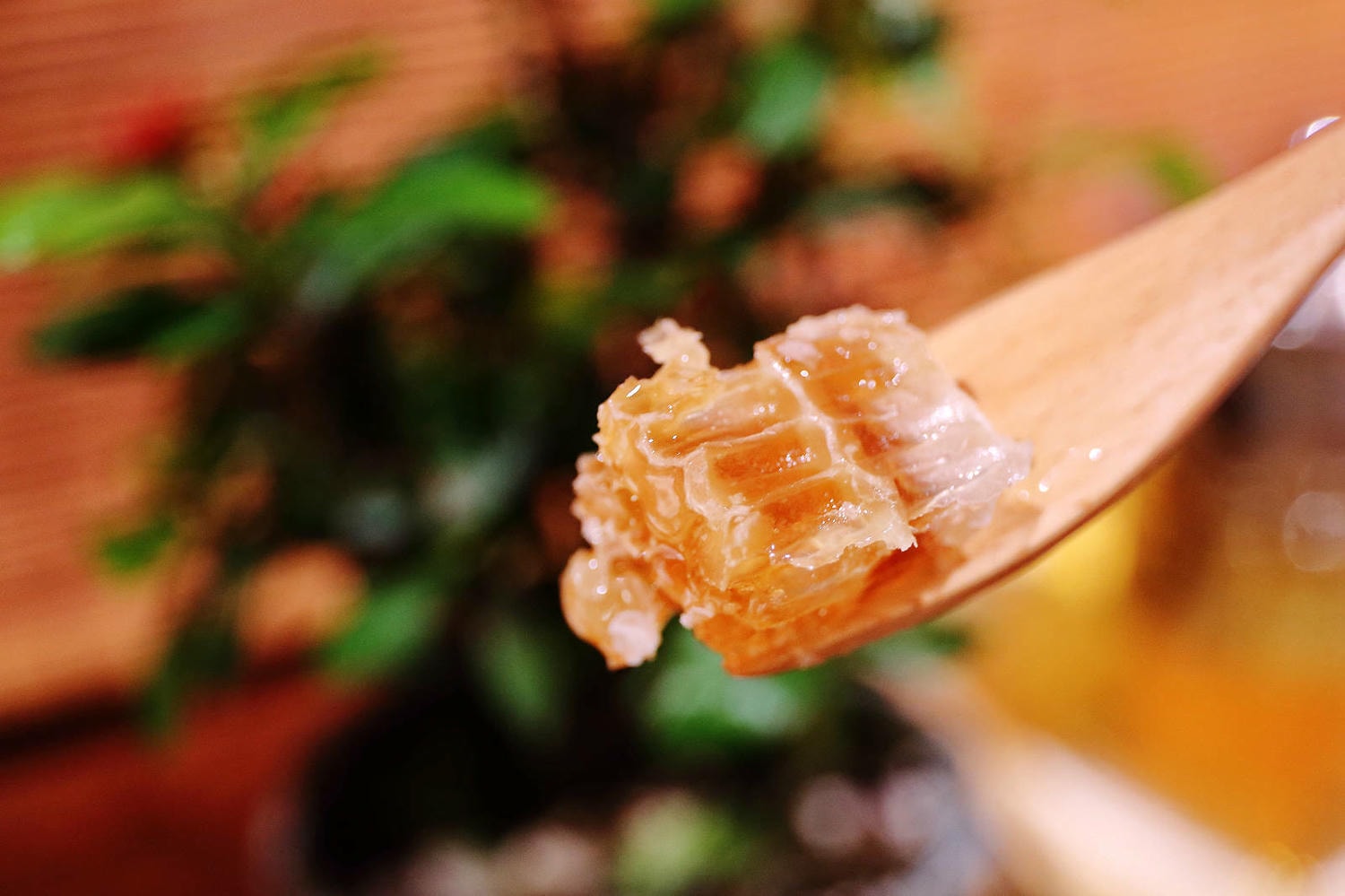 【迪化街伴手禮推薦】滿誠蜂蜜純蜂蜜專賣店,喝杯免費現沖蜂蜜飲,下午茶體驗、天然蜂產品 - 第34張圖 【迪化街伴手禮推薦】滿誠蜂蜜純蜂蜜專賣店,喝杯免費現沖蜂蜜飲,下午茶體驗、天然蜂產品